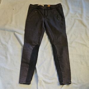 Pilcro and the Letterpress Grey Jodhpur Riding Britches Pants Women’s Size 4